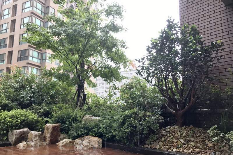桃園露臺綠化 桃園露臺綠化